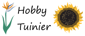 De illustratie toont een paradijsvogelbloem aan de linkerkant en een zonnebloem aan de rechterkant. De woorden "Hobby Farmer" zijn ertussen geschreven in een scriptlettertype.