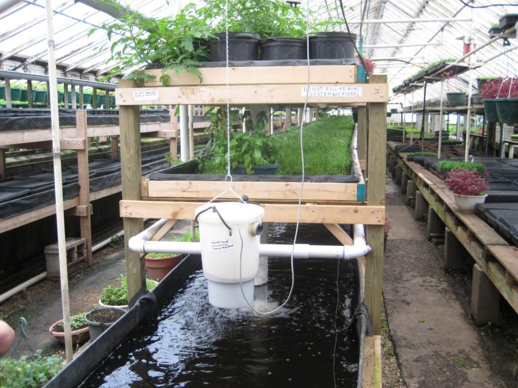 Een kasinterieur toont een aquaponische opstelling, wat illustreert wat aquaponics is. Drie niveaus van plantenbedden rijzen op boven een watertank met een filtratie-eenheid, die verschillende planten voedt. Op de achtergrond zijn rijen van soortgelijke systemen te zien die in harmonie gedijen.