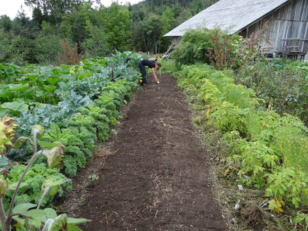 Een persoon onderhoudt een tuin, schoffel in de hand, met bladgroen aan beide kanten. Een houten gebouw staat op de achtergrond tussen bomen en planten. De vers geploegde moestuin creëert een net, aards pad tussen het groen.