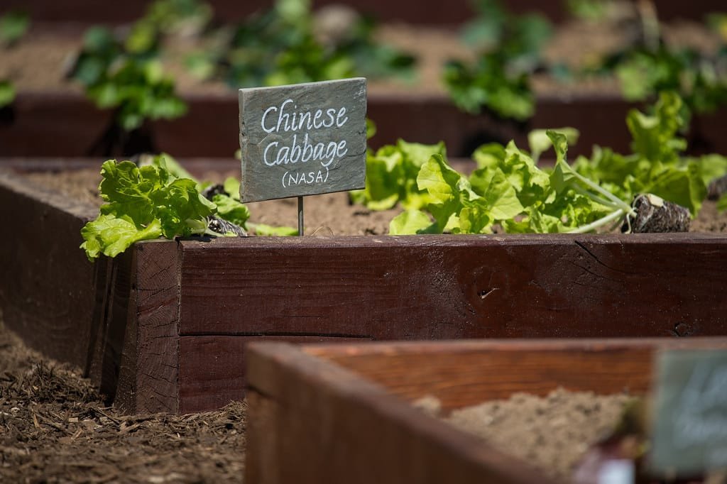 White House Kitchen Garden Planting (NHQ201604050002)