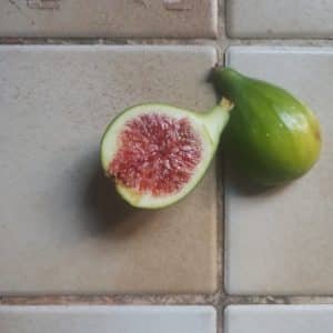 A fresh 'White Marseille' fig cutting, one half whole and one half sliced to reveal its pinkish-red interior, rests on grey and beige square tiles.